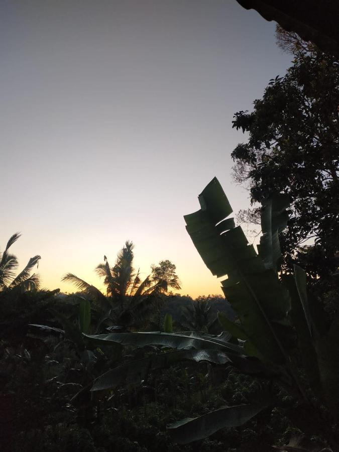 Tetebatu Mountain View Homestay מראה חיצוני תמונה