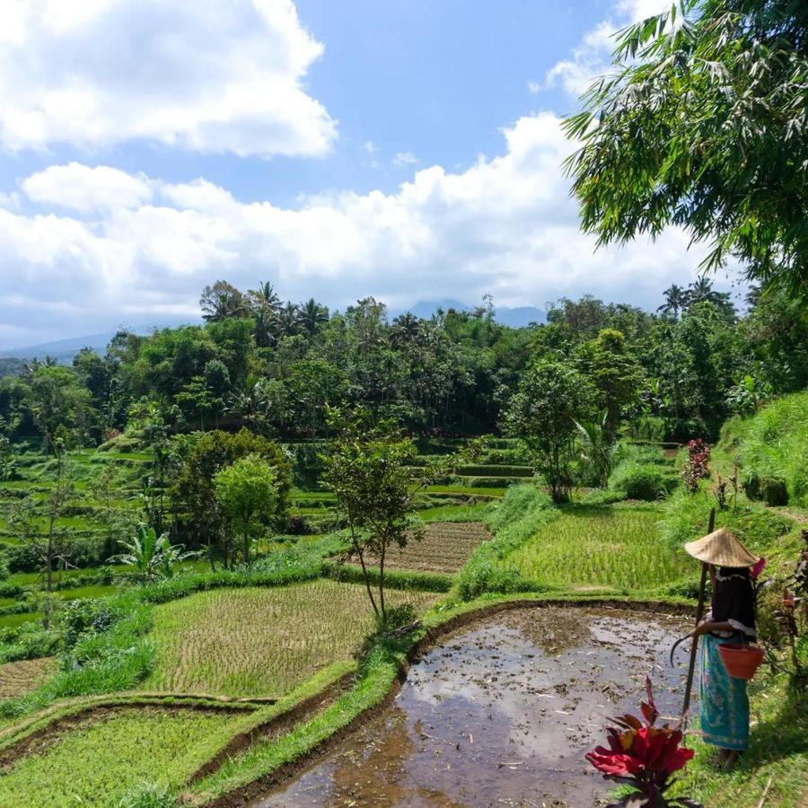 Tetebatu Mountain View Homestay מראה חיצוני תמונה