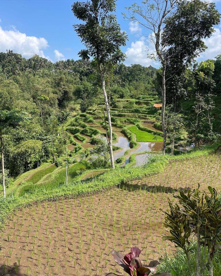 Tetebatu Mountain View Homestay מראה חיצוני תמונה