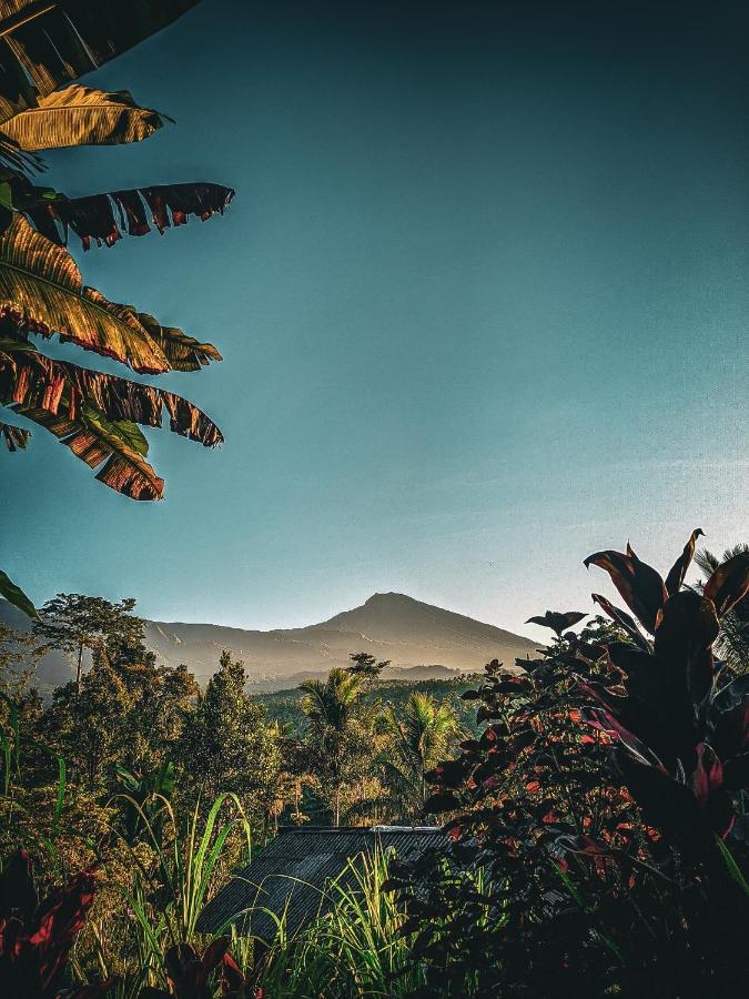 Tetebatu Mountain View Homestay מראה חיצוני תמונה