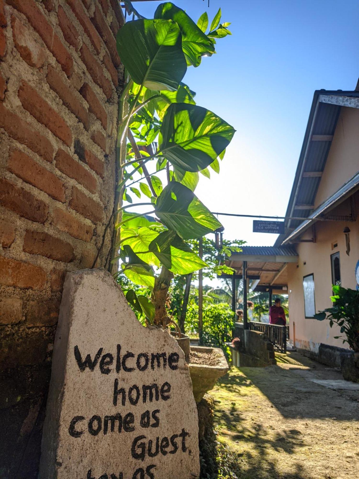 Tetebatu Mountain View Homestay חדר תמונה